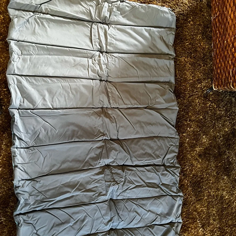 New dog mat